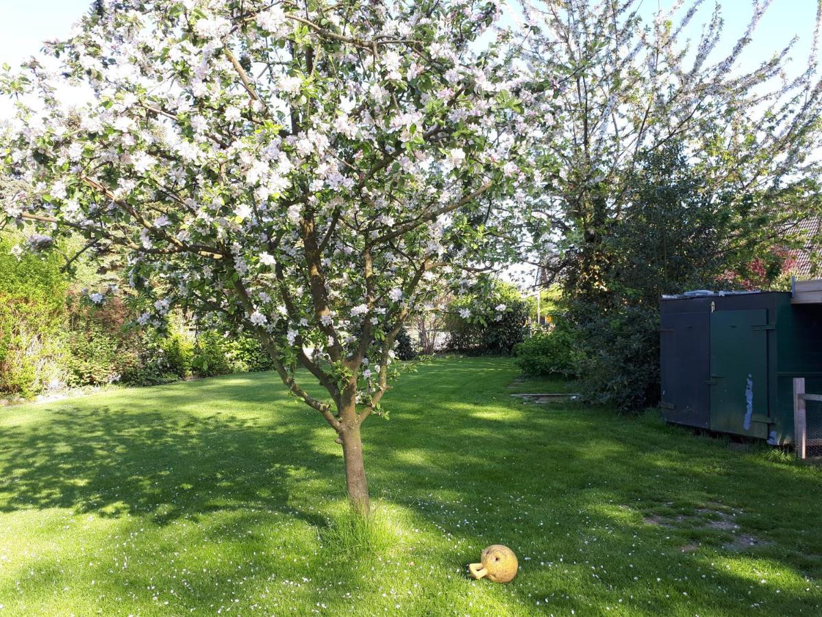 Ferienwohnung In Ruhiger Dorflage Naehe Bad Bevensen Natendorf Luaran gambar
